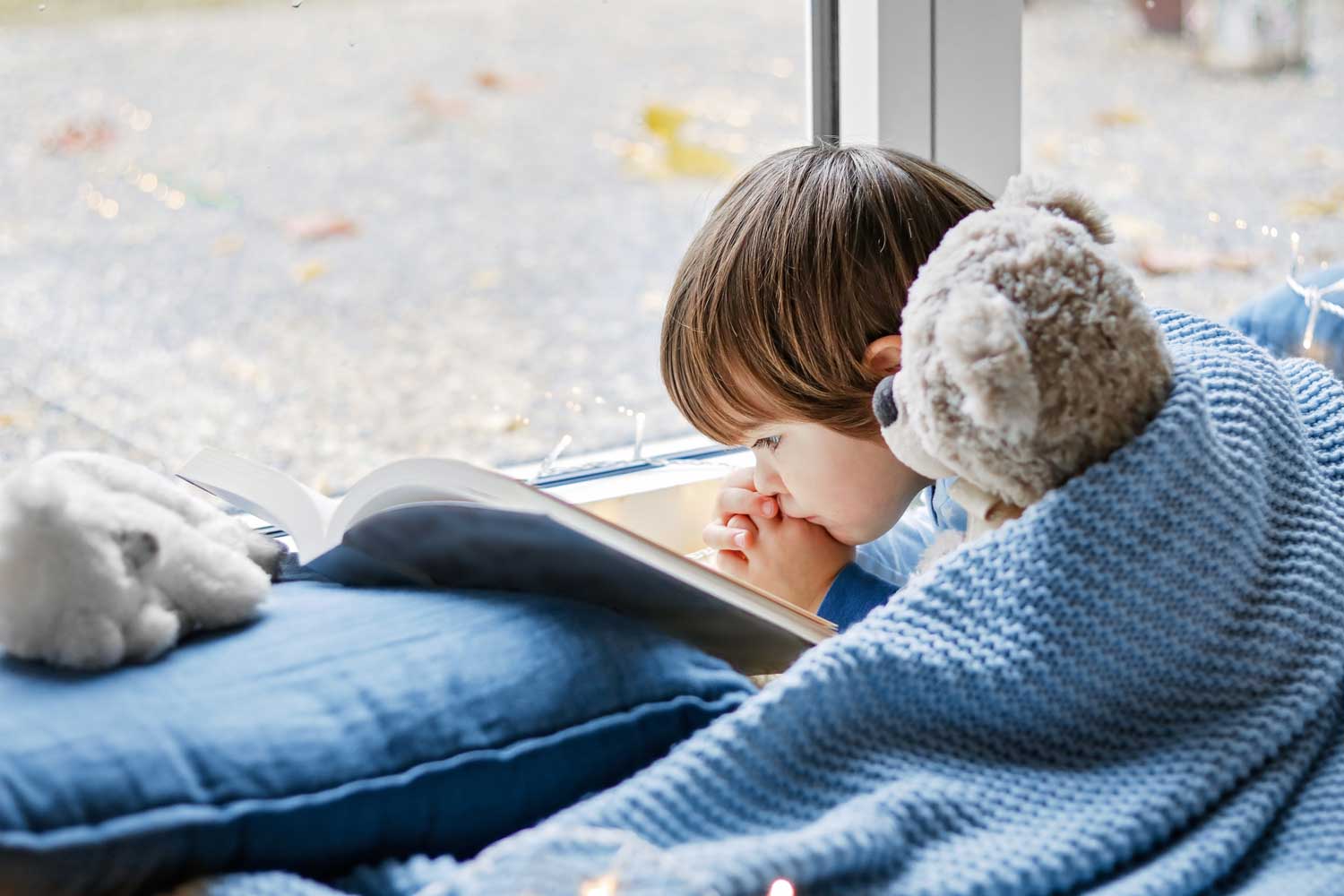 portrait-of-cute-little-boy-reading-book-under-blue-knitted-blanket-with-his-teddy-bear-toy_t20_98ZEzB